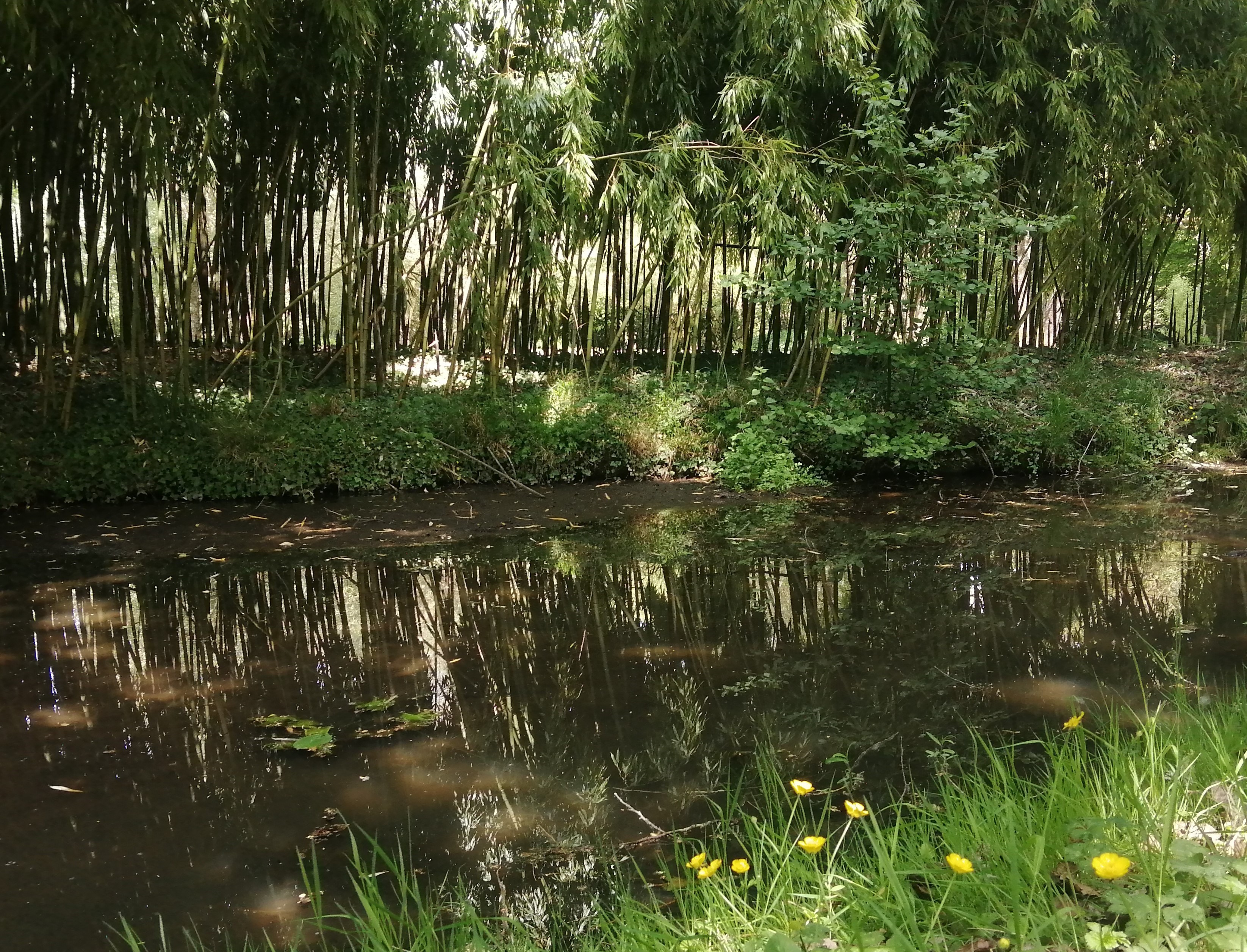 Photo n° 15 de la location