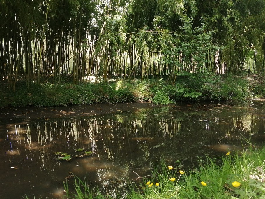 Photo n° 15 de la location