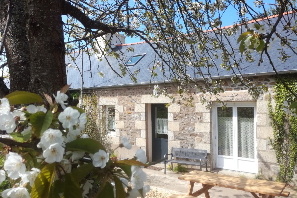 Gite et sa terrasse sous le cerisier