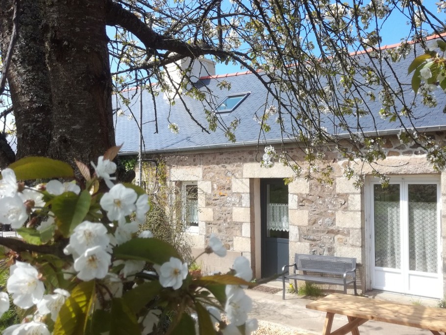Gite et sa terrasse sous le cerisier