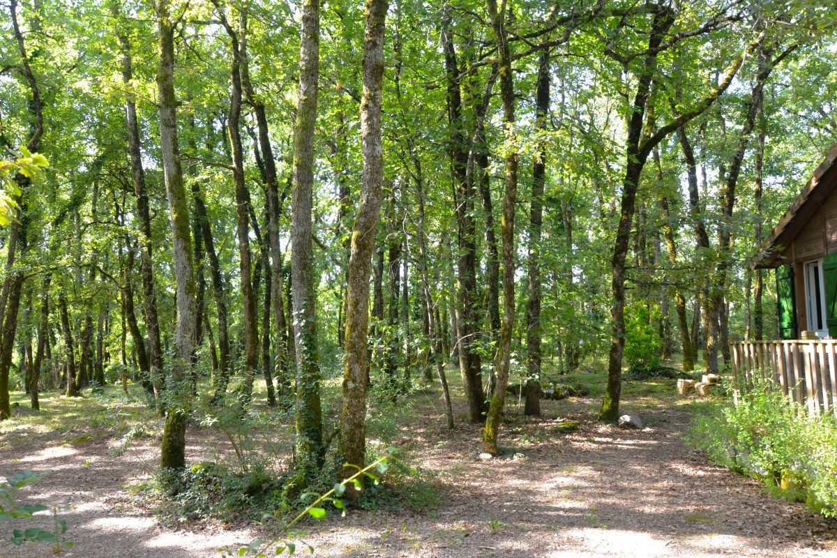 Photo n° 13 de la location
