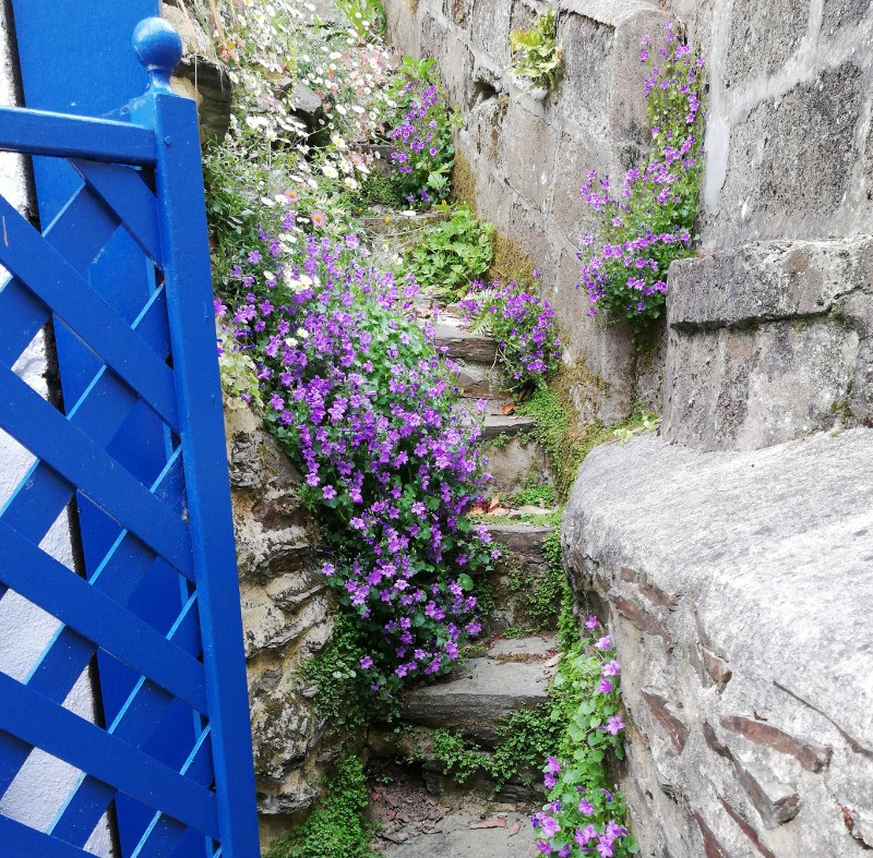 Accès escarpé à la 2ème terrasse (possibilité de fermer si petits enfants)