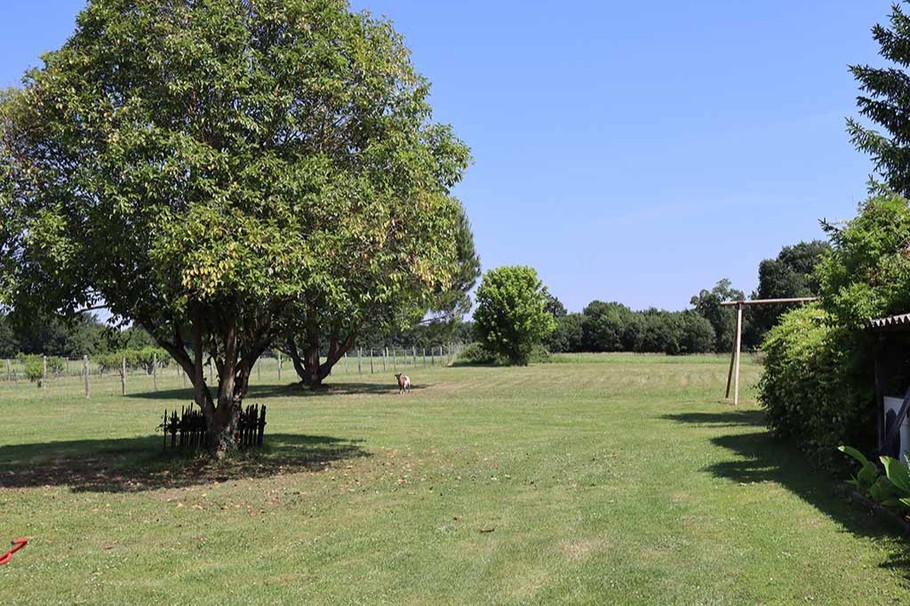 Grand parc sur la propriété