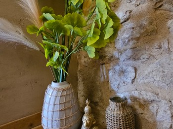 Gîte la Passerelle - Albi dans le Tarn en Occitanie