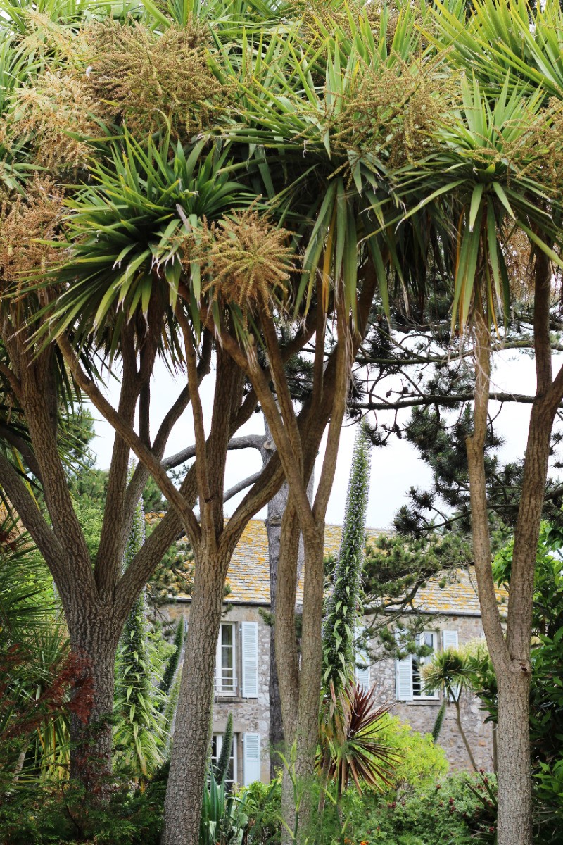 Ile Tatihou (jardins)