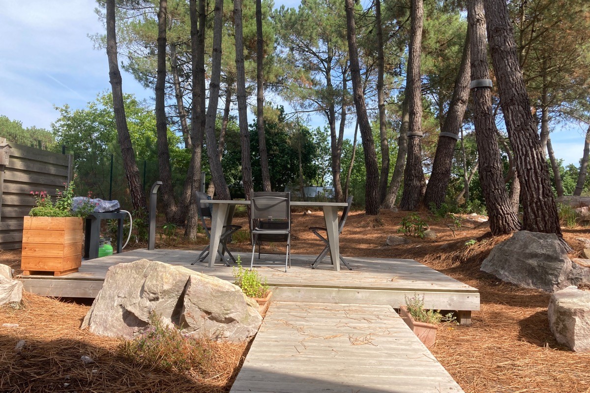 Petite plancha à l’ombre des pins