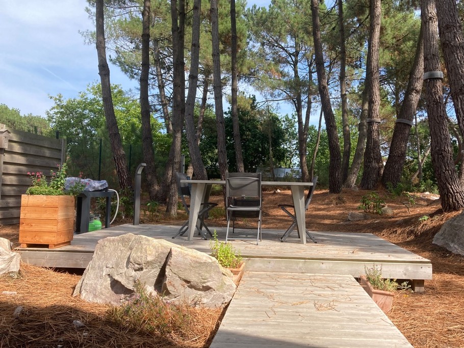 Petite plancha à l’ombre des pins