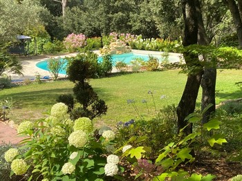 aperçu du jardin depuis le parking