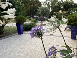 Terrasse piscine