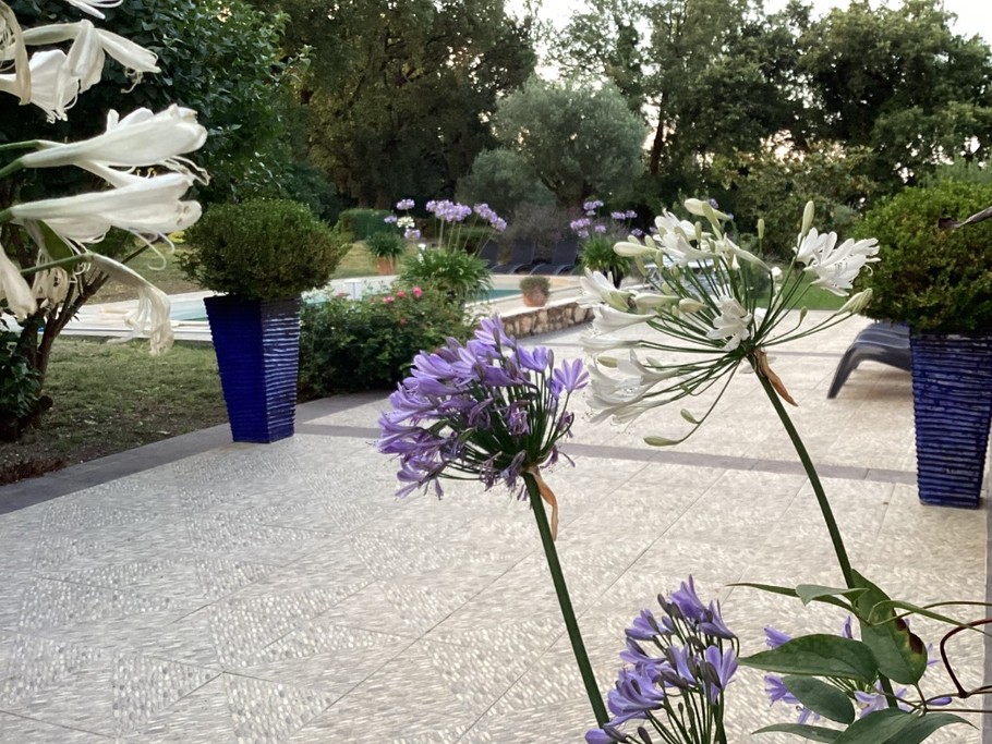 Terrasse piscine