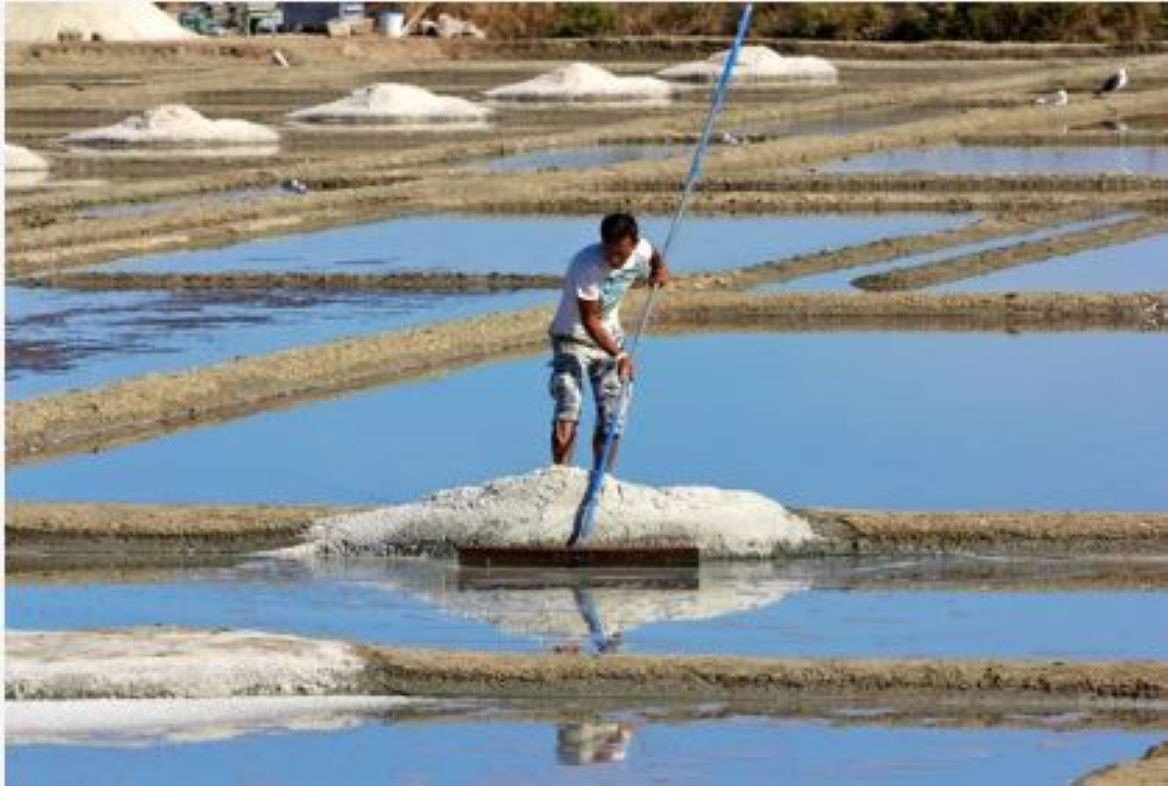 Marais salants Guérande