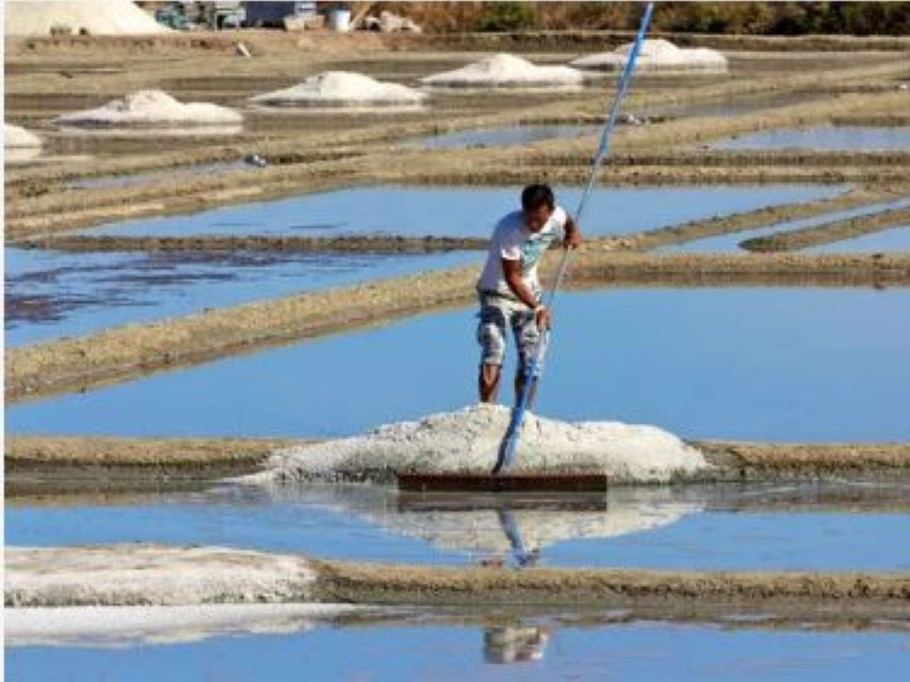 Marais salants Guérande