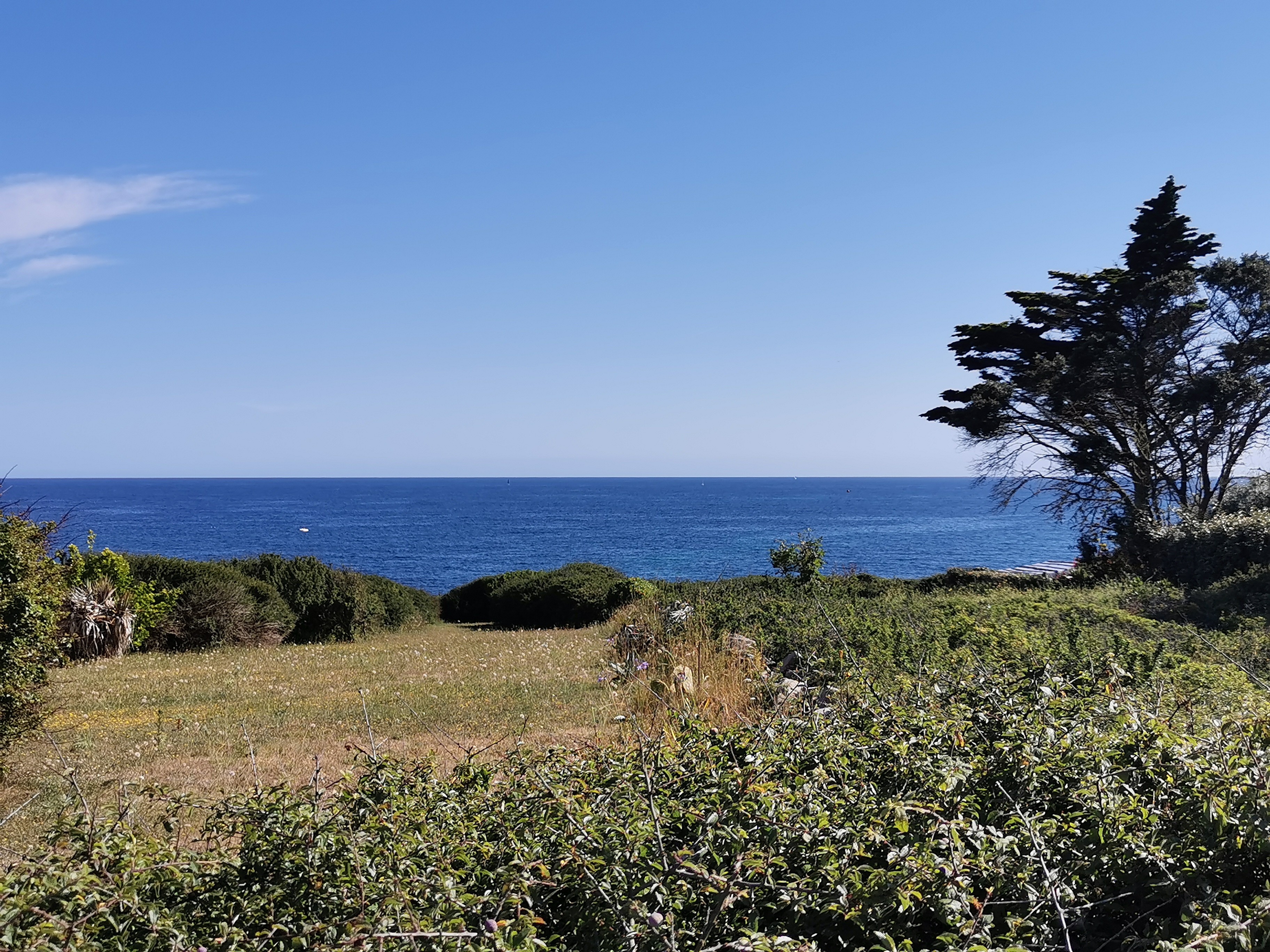 Sea view from the garden