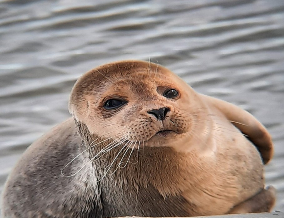 Photo n° 15 de la location