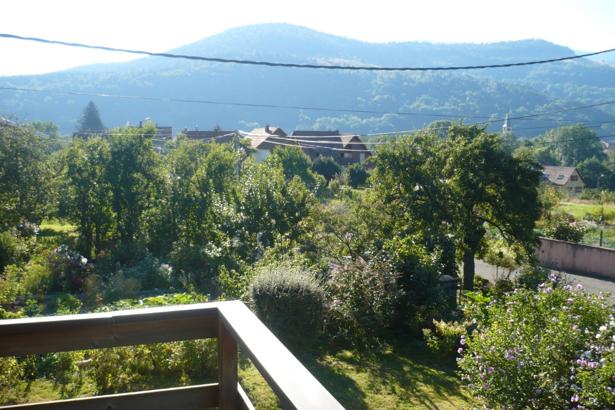 Vue