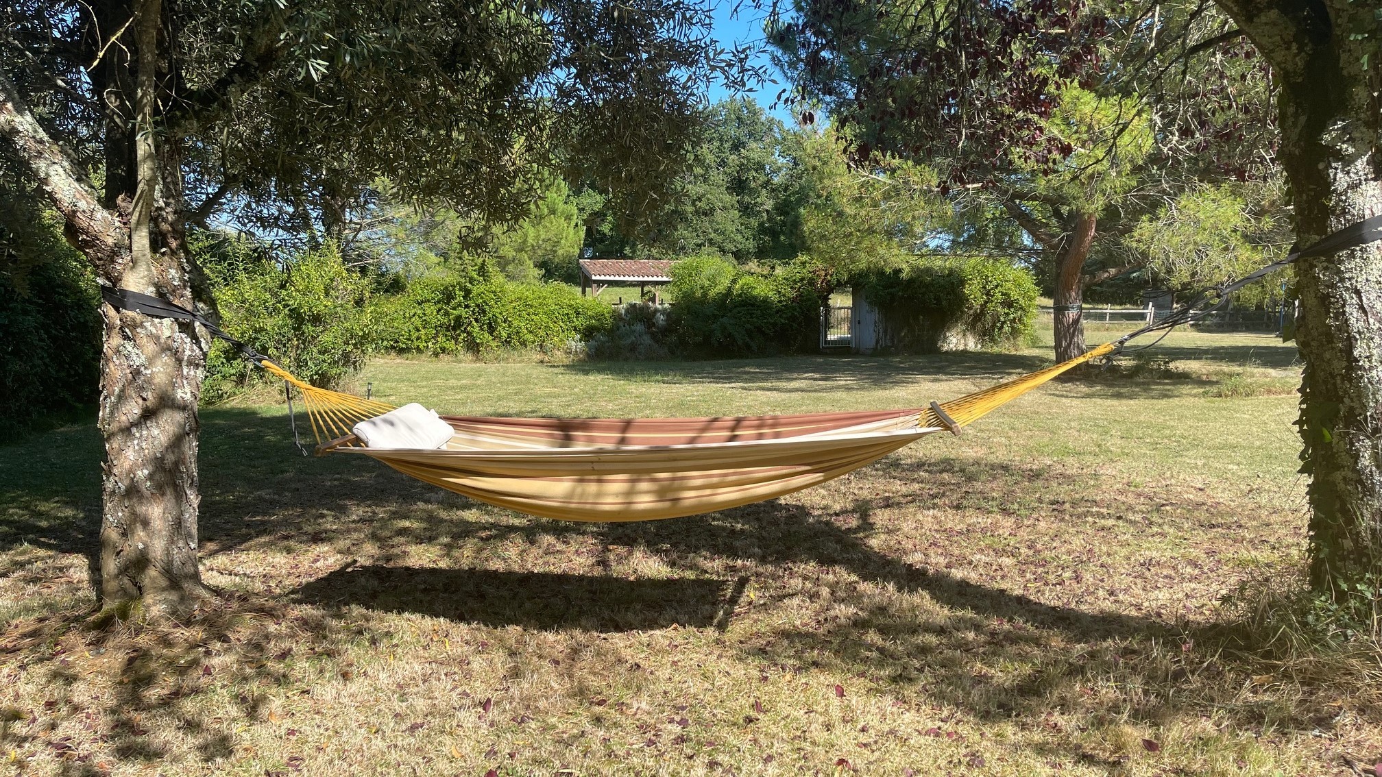 Photo n° 10 de la location