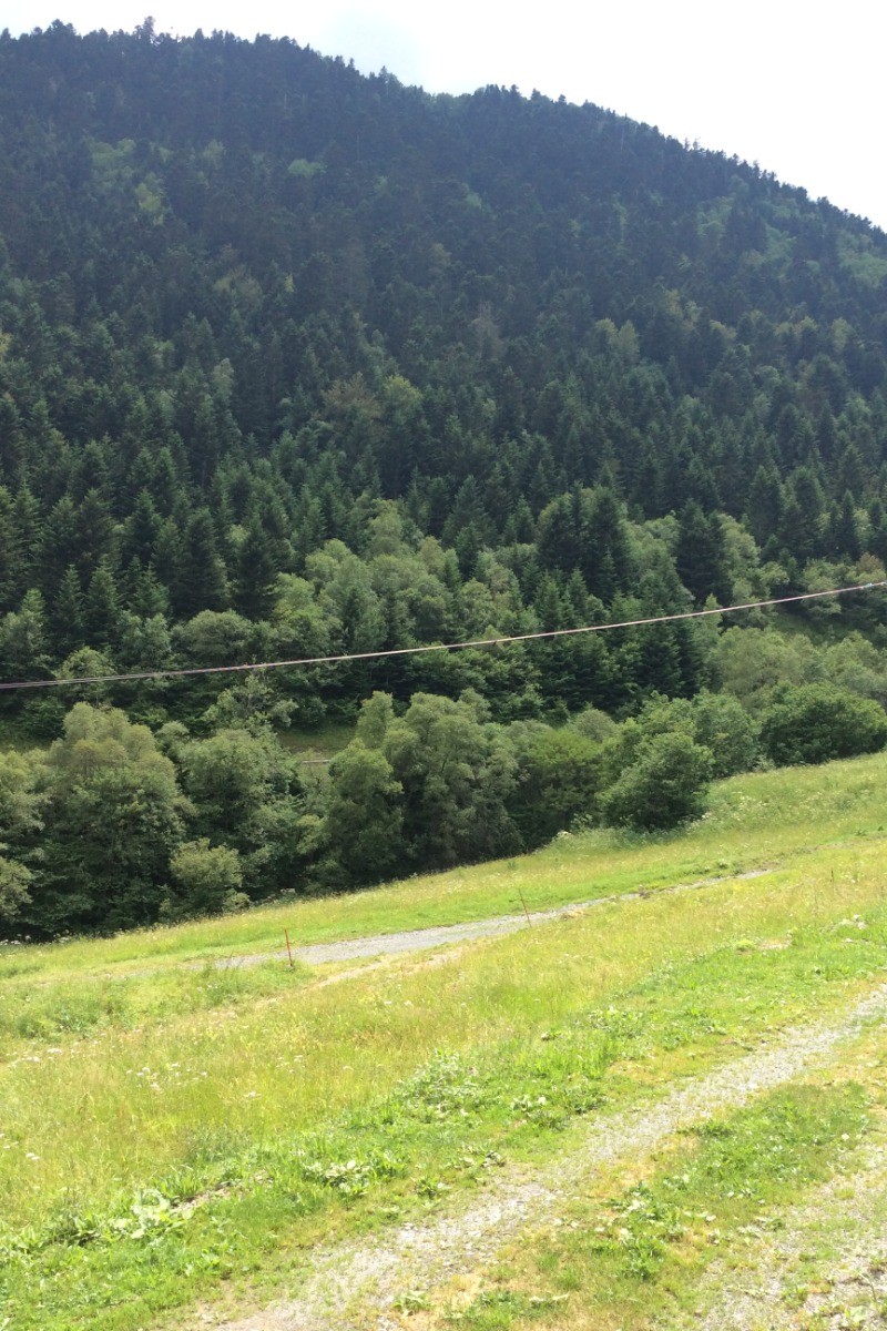 Photo n° 8 of the location