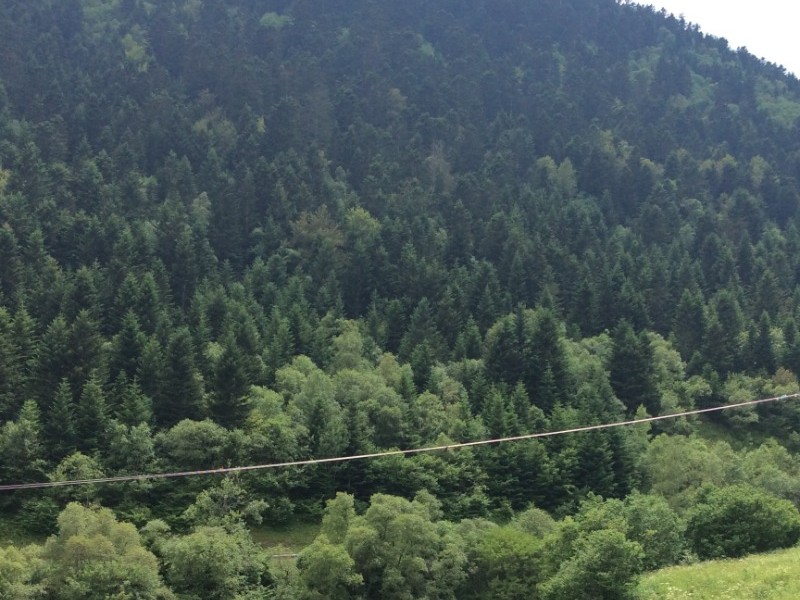Photo n° 8 de la location