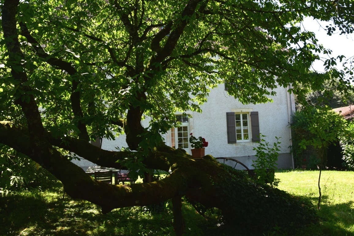 Photo n° 19 de la location