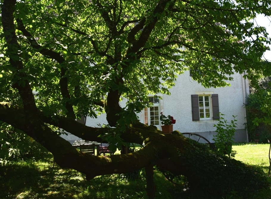 Photo n° 19 of the location