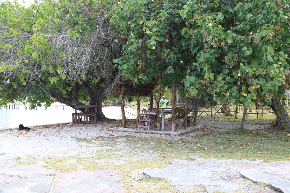 Photo n° 2 de la location