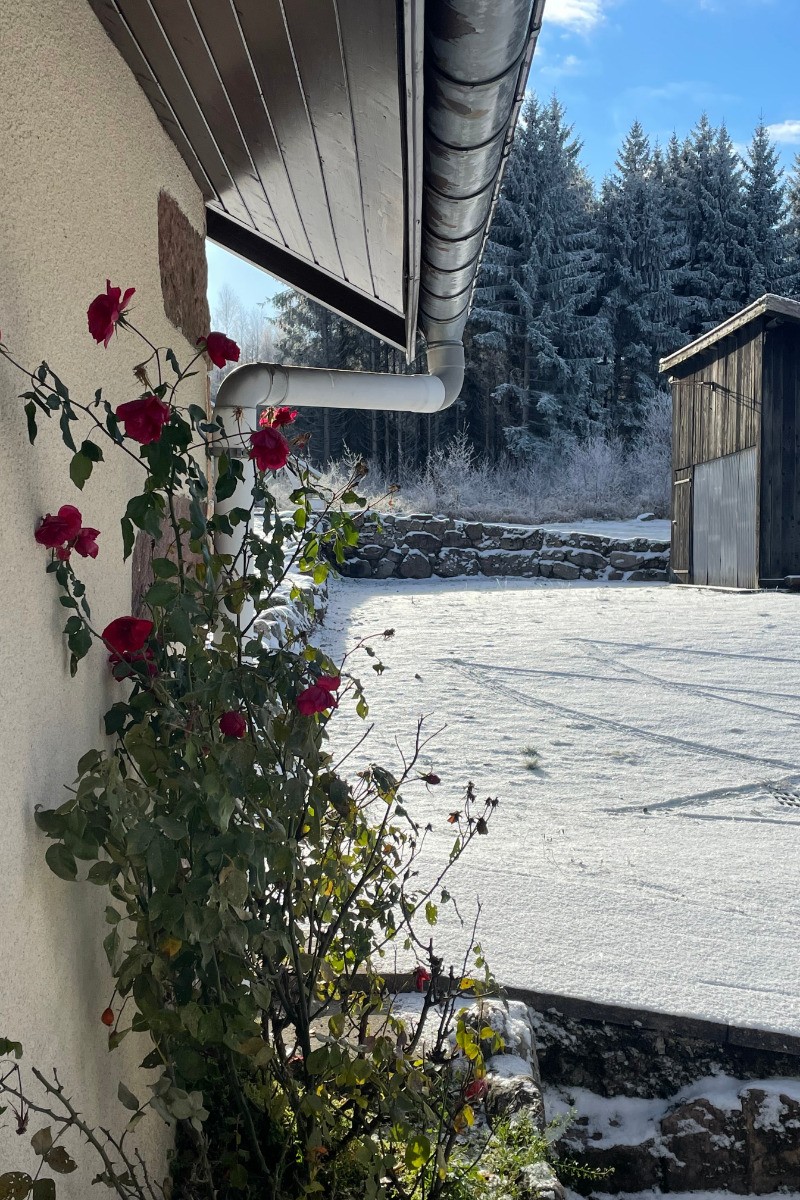 Gentiane - Fermette Hautes Vosges