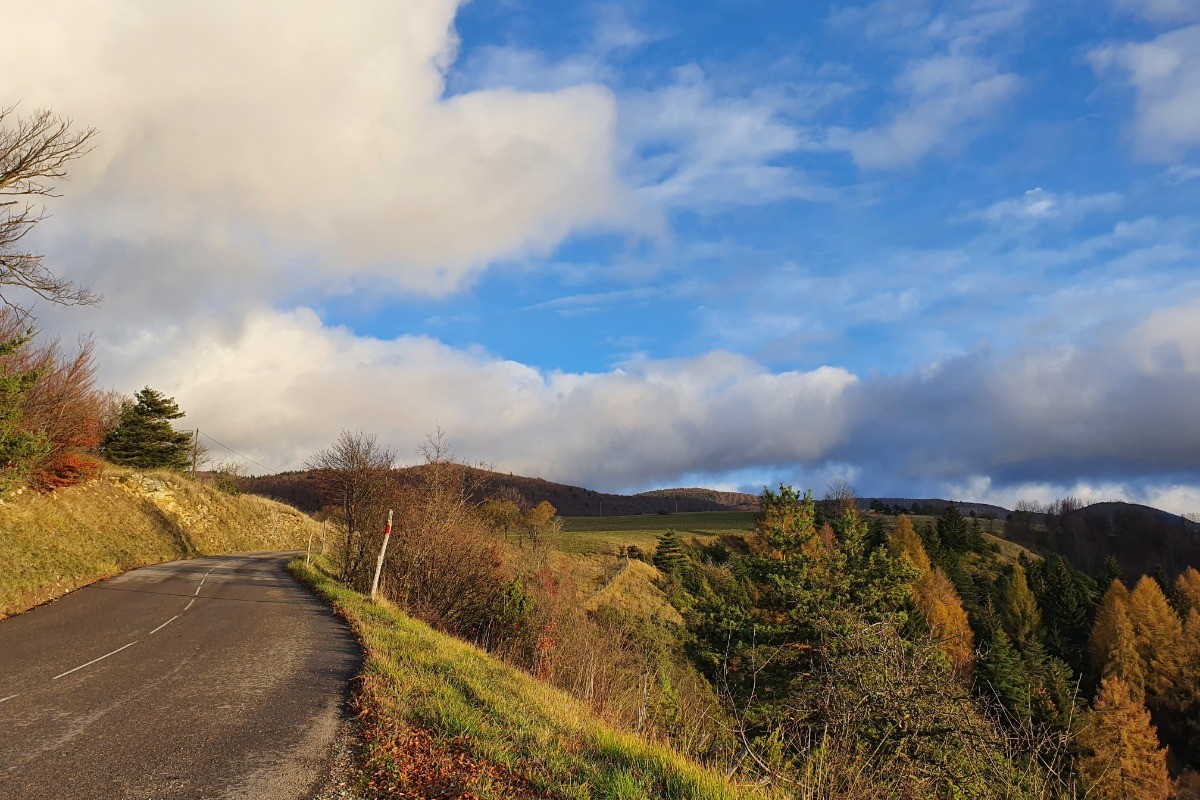 La route pour venir à l'automne