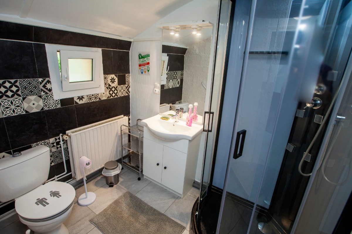 Salle de bain  douche et wc