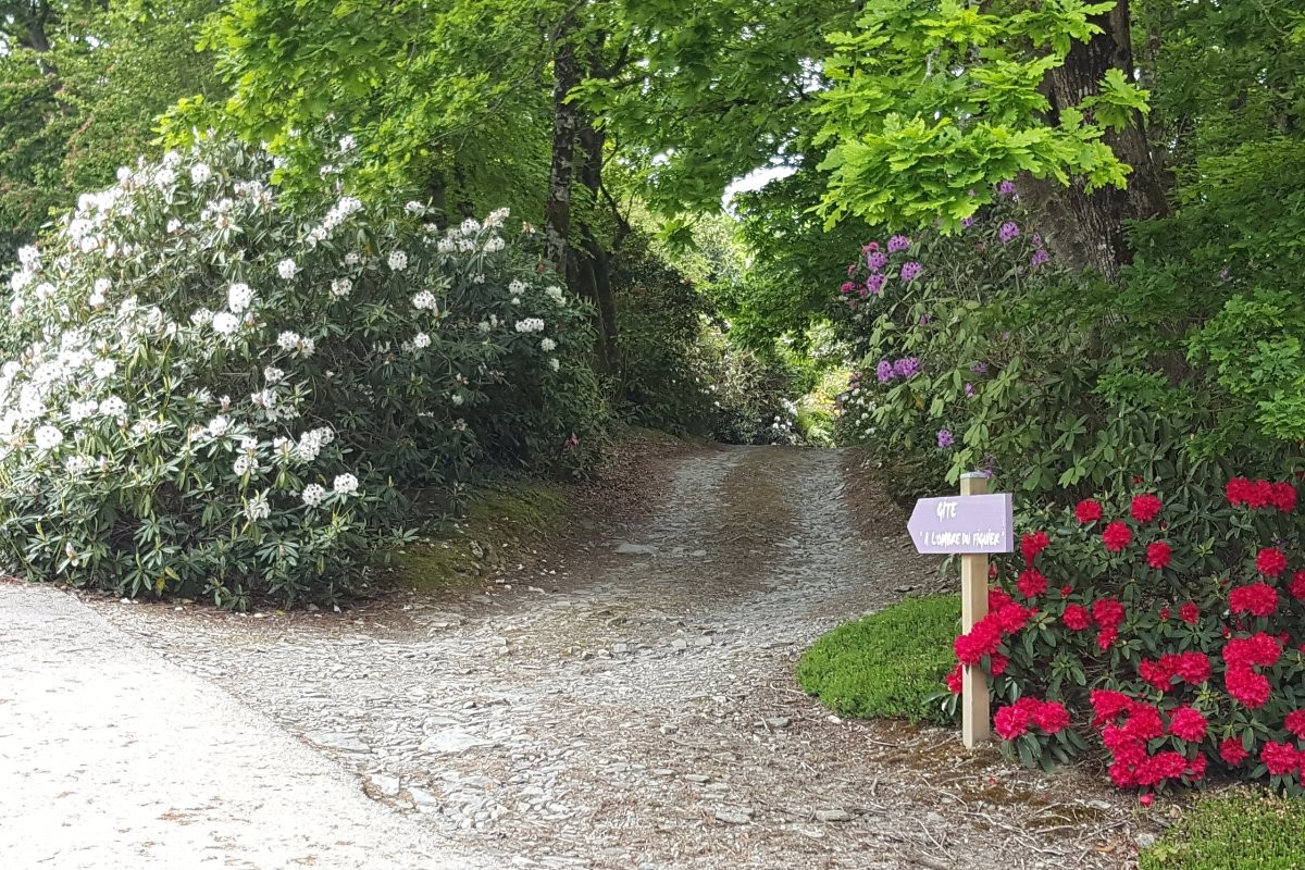 entrée chemin du gîte