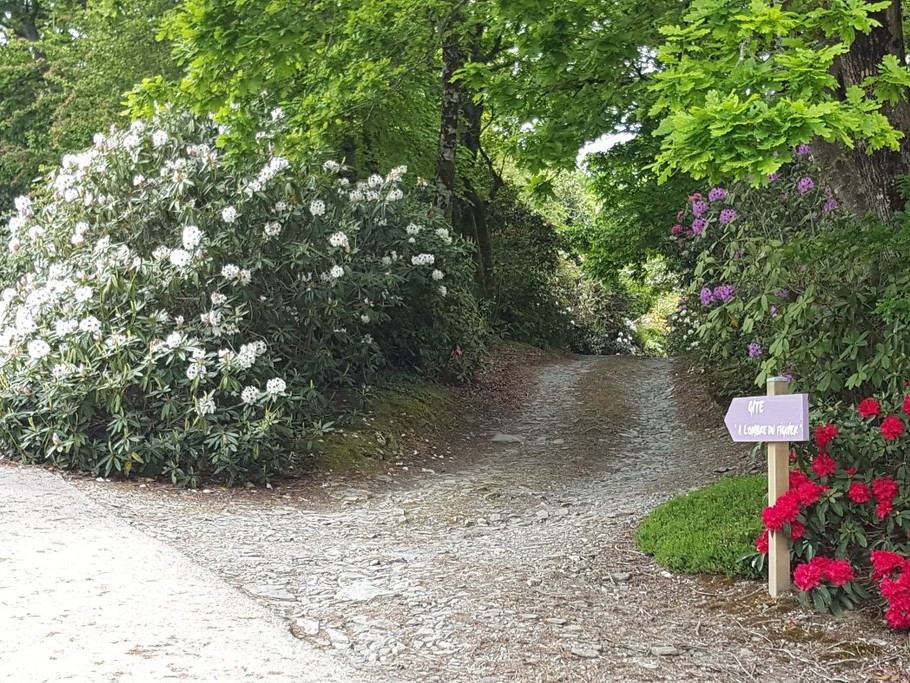 entrée chemin du gîte