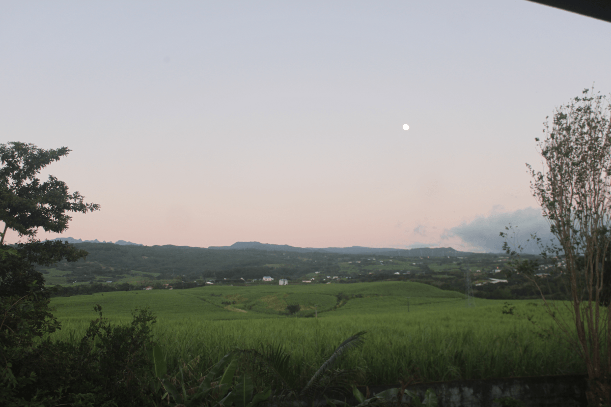 Photo n° 2 de la location
