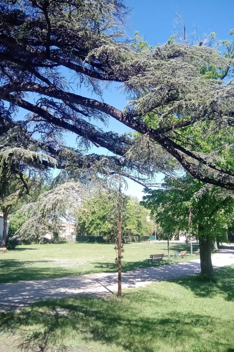 Photo n° 15 de la location