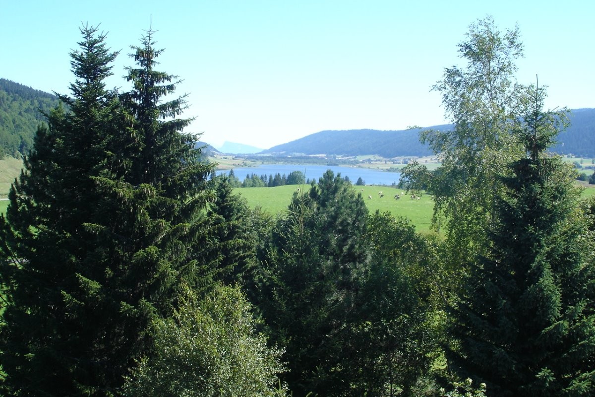 la vallée avec le lac