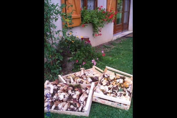 Photo n° 15 de la location