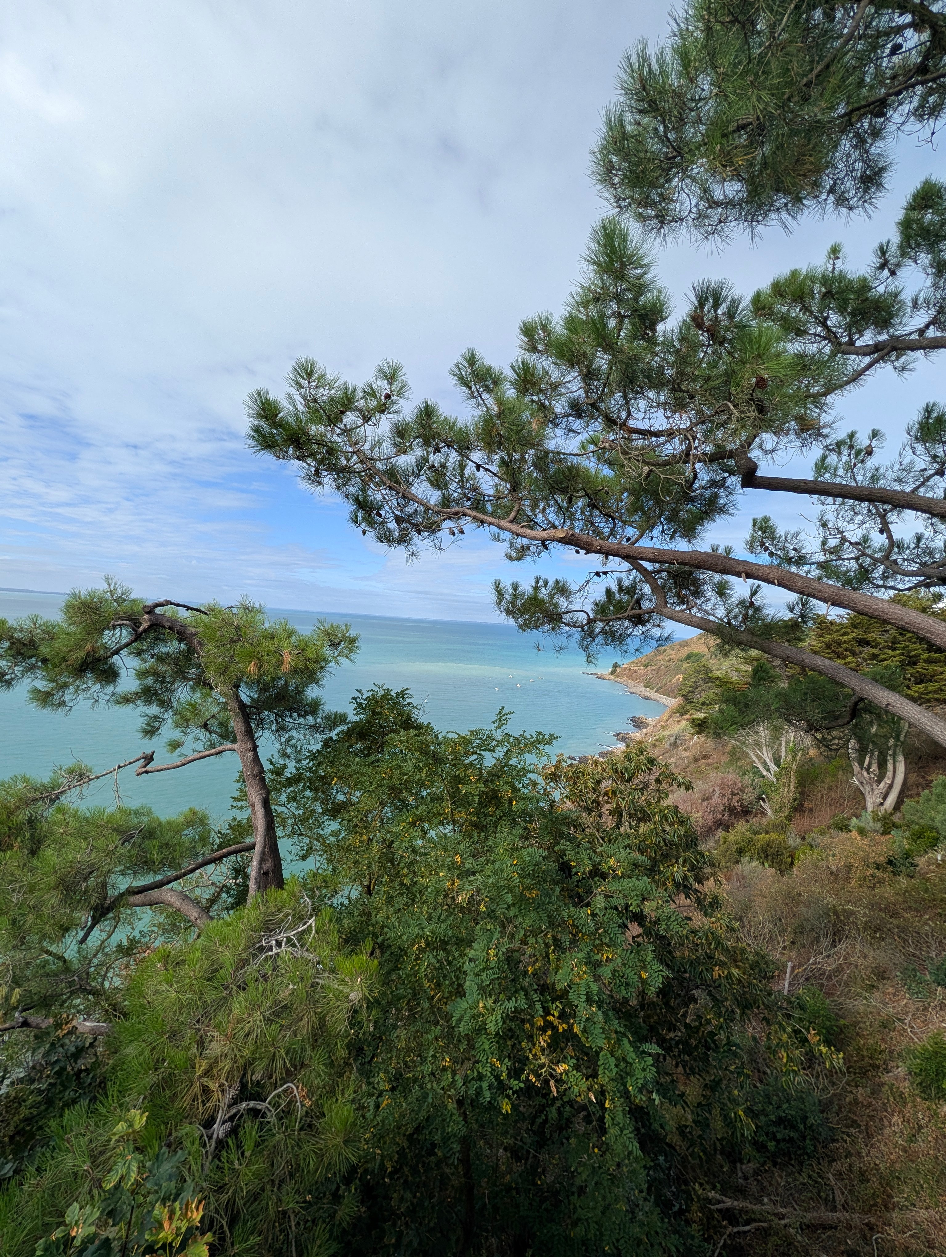 View