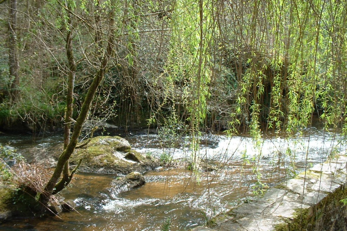 Photo n° 15 de la location