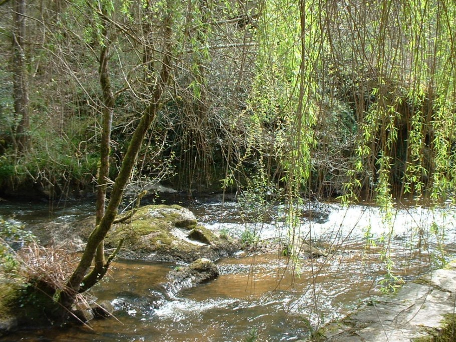 Photo n° 15 de la location