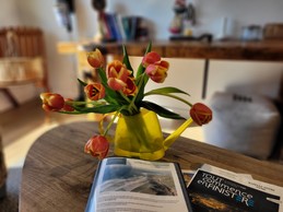 Image n° 3 de la location