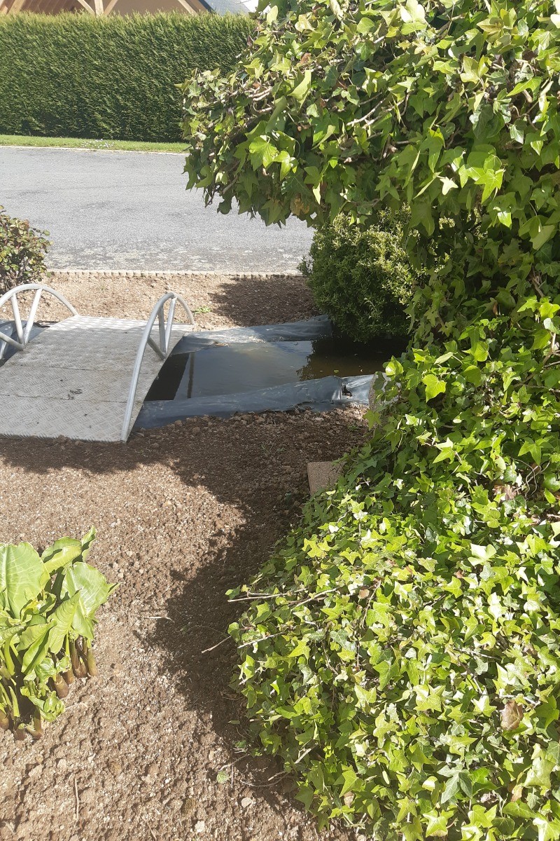 Photo n° 11 de la location