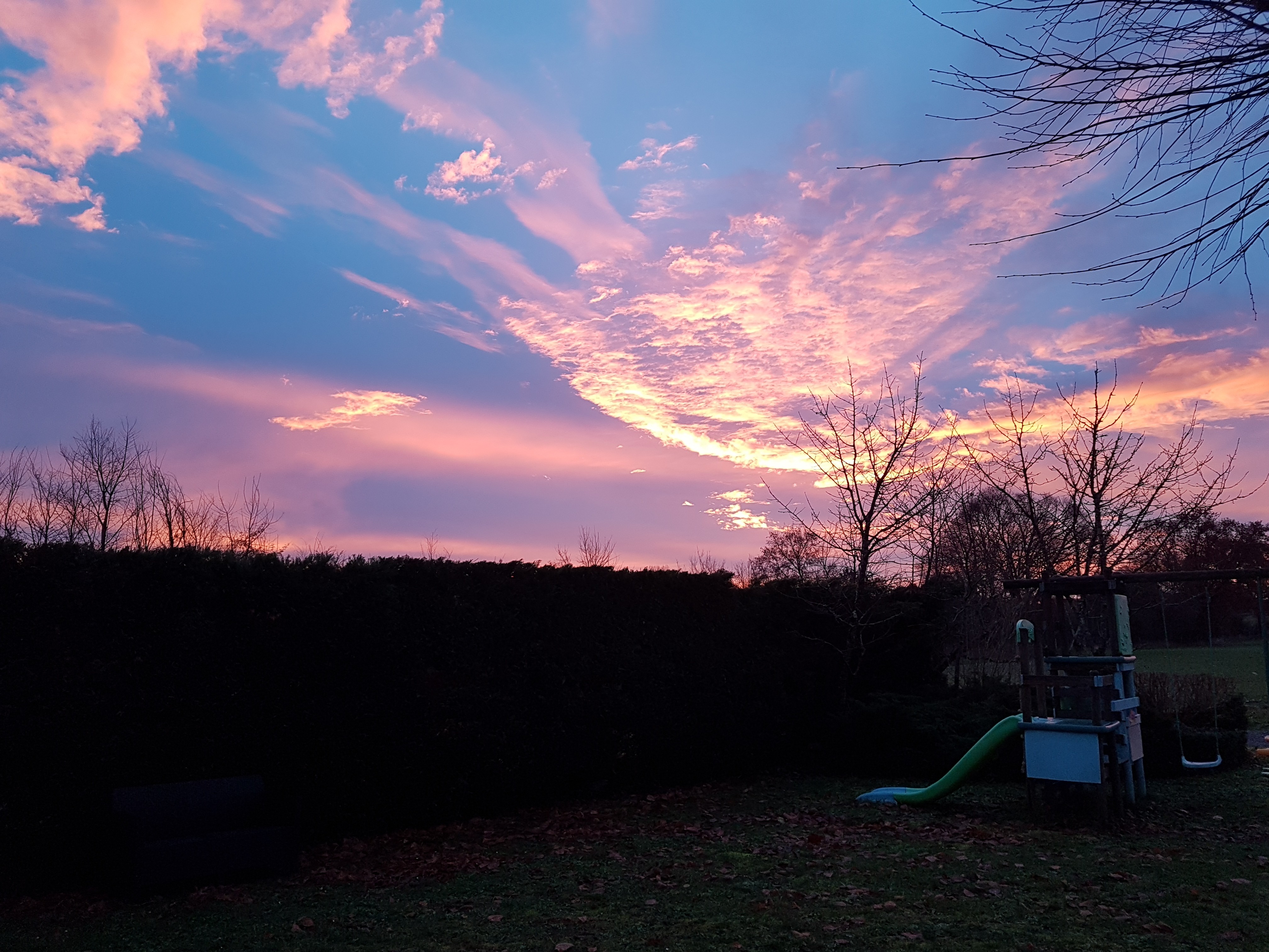 Petit matin