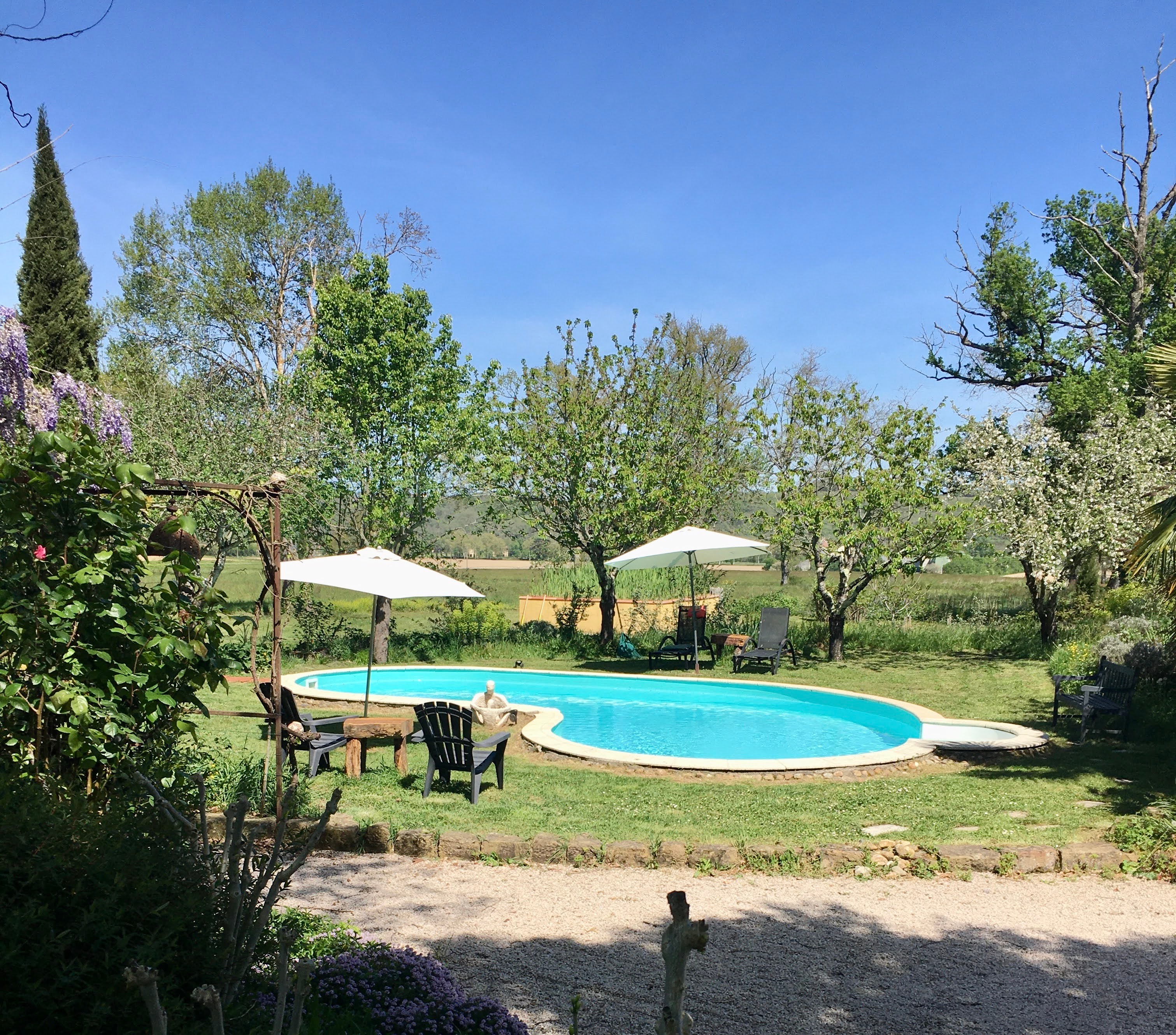 Piscine et la verdure du jardin