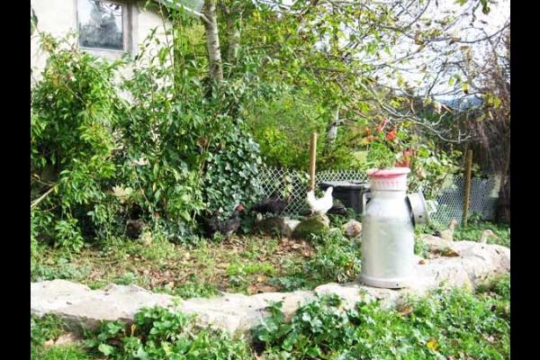 Photo n° 11 of the location