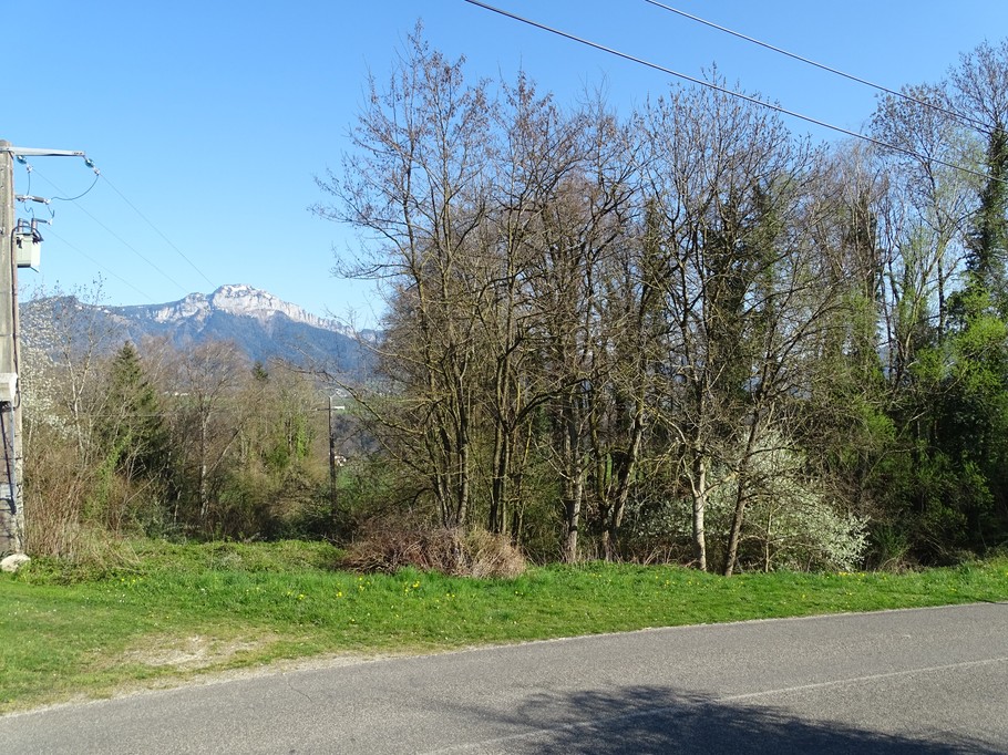 vue depuis chambre du bas