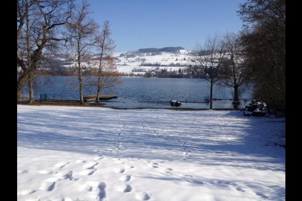 paysage hivernal