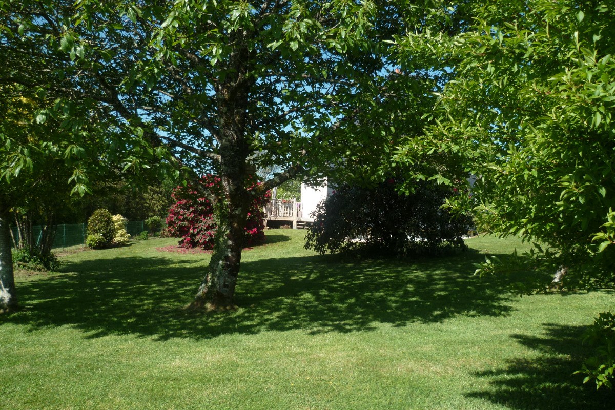 Le jardin ombragé avec vue sur la terrasse
