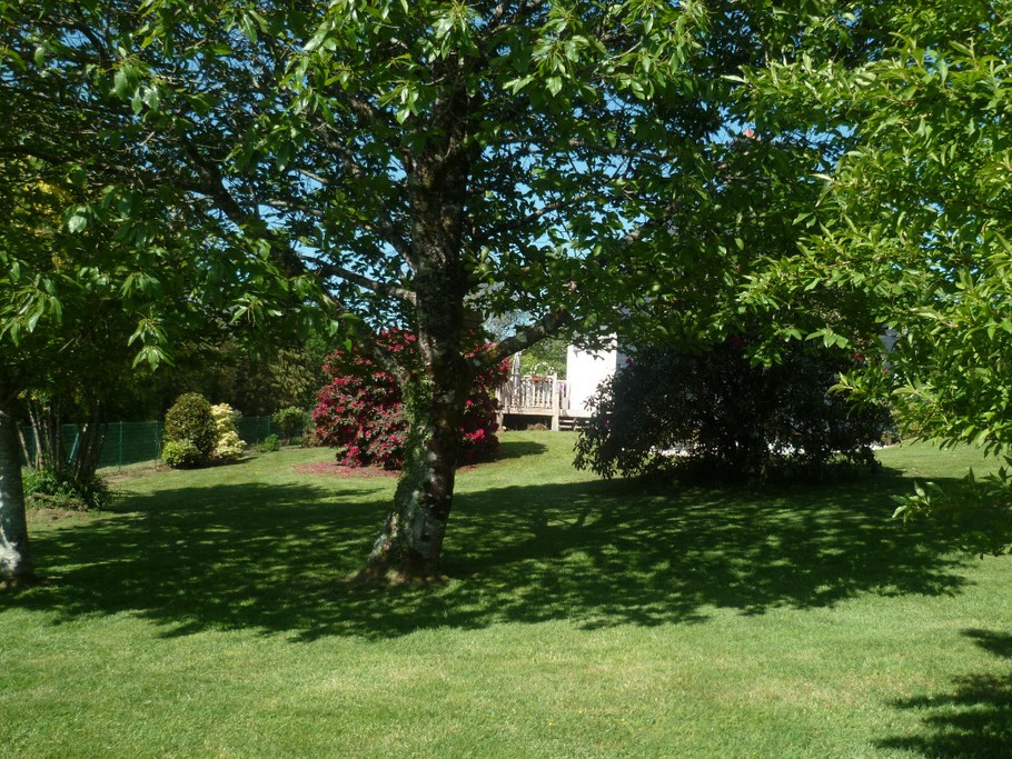 Le jardin ombragé avec vue sur la terrasse