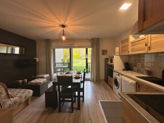 Salon / séjour / cuisine