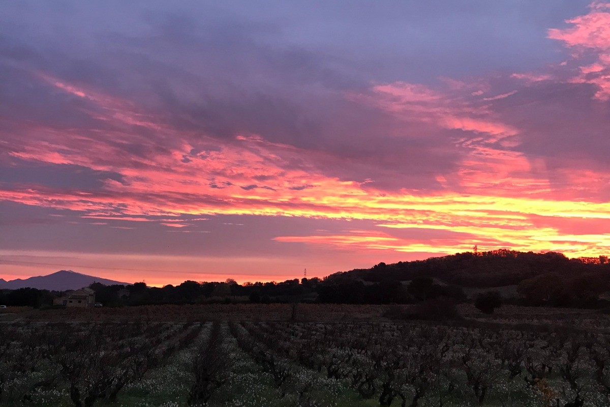 Gîte Le Levant - Lever de Soleil sur Le Mont Ventoux