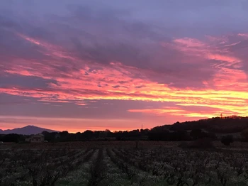 Gîte Le Levant - Lever de Soleil sur Le Mont Ventoux