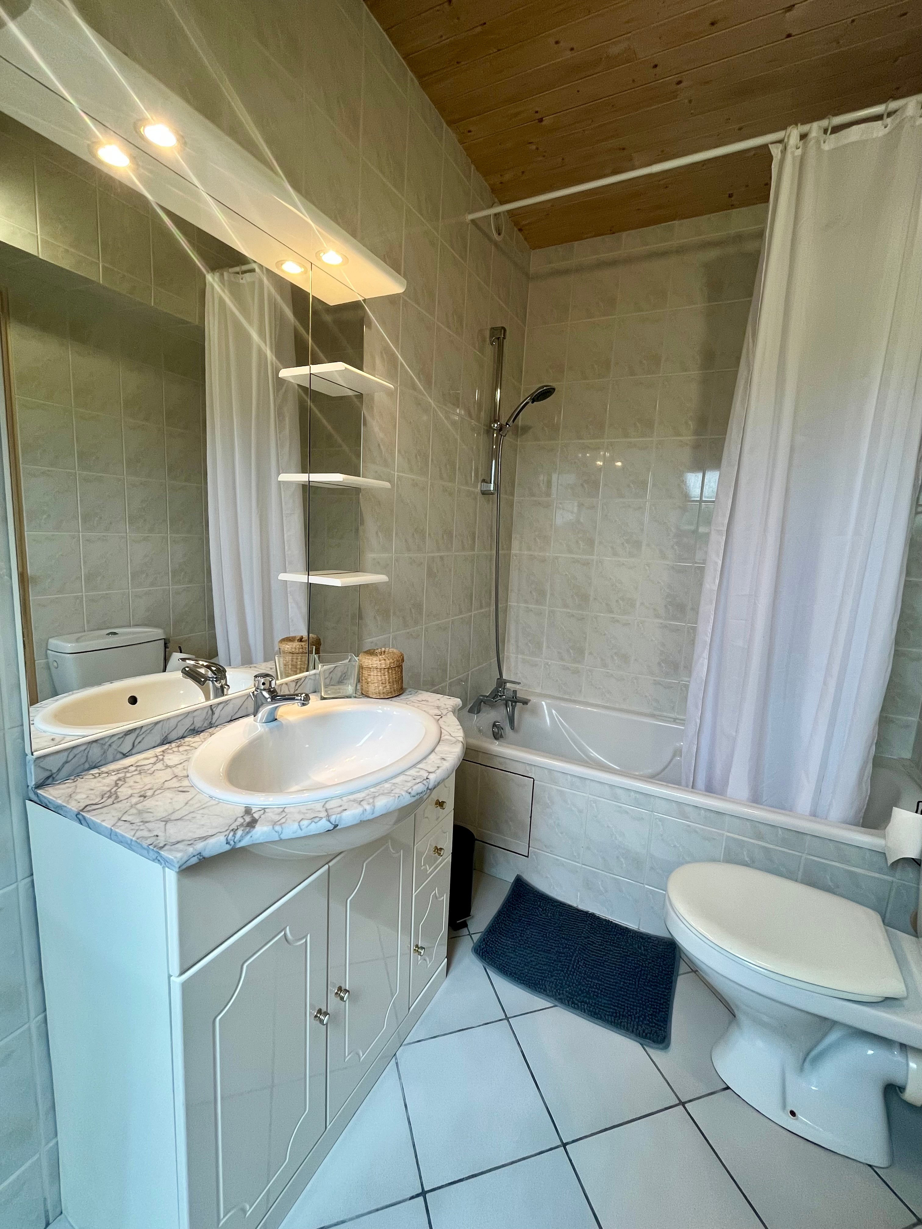 Salle de bain avec douche et WC